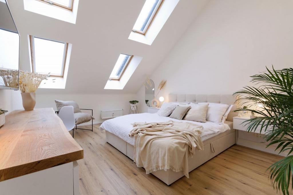 Apartment New Luxury Main Square Brno